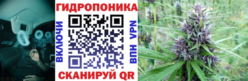 Наркошоп купить Каннабис Альфа ПВП ГАШ NBOMe Меф Карабаново