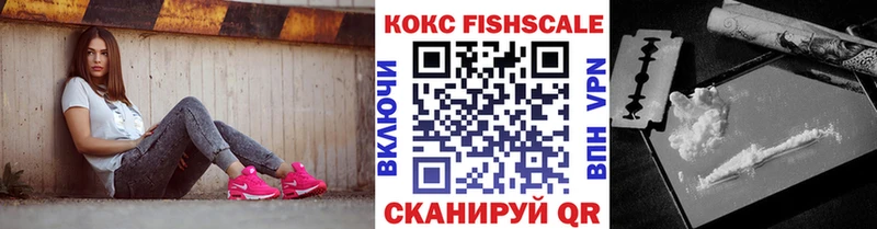 Кокаин FishScale  Купить  Карабаново 