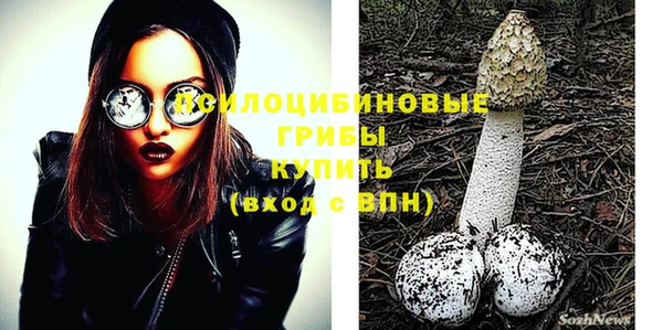 эйфоретик Иннополис
