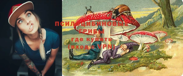 дмт Каменногорск