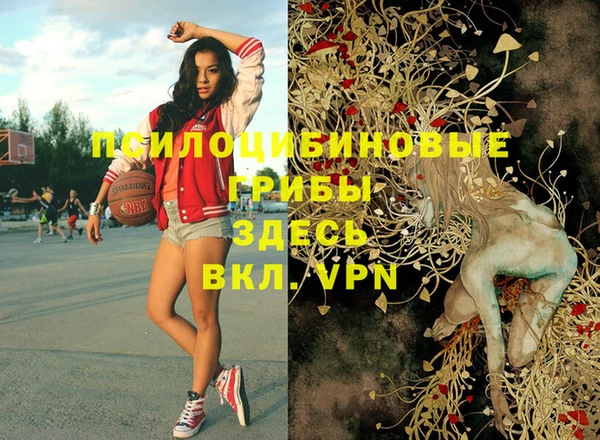 марки nbome Инта