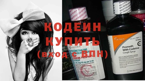 прущие крисы Каменка