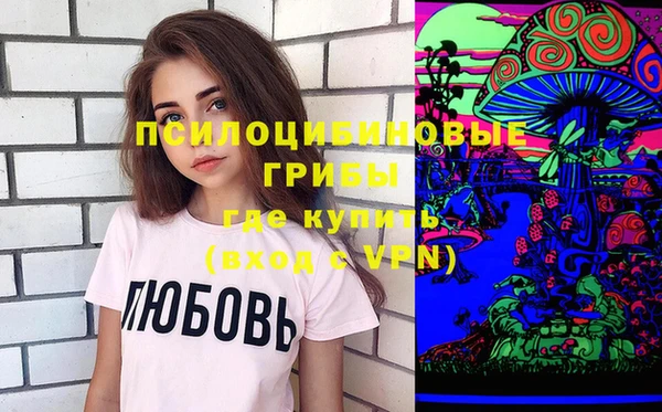 дмт Каменногорск