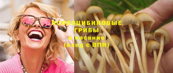 марки nbome Инта