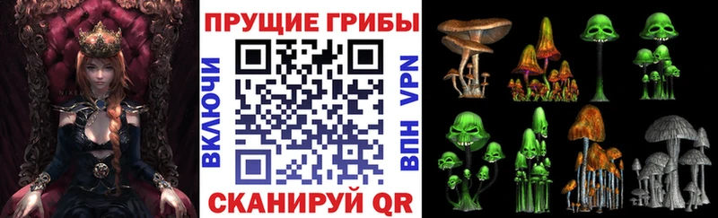 Купить  Карабаново  Псилоцибиновые грибы Psilocybine cubensis 